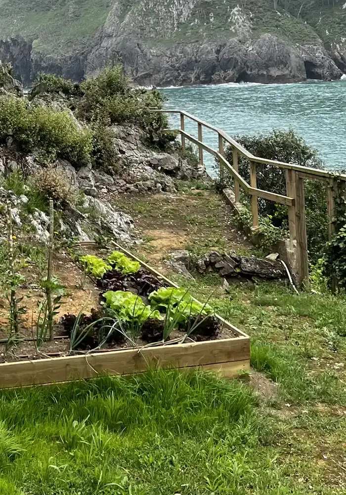 lapeninsula-25