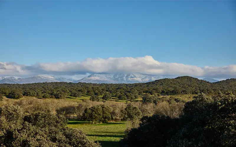 Casas de campo
